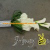 hoa cam tay 59.jpg